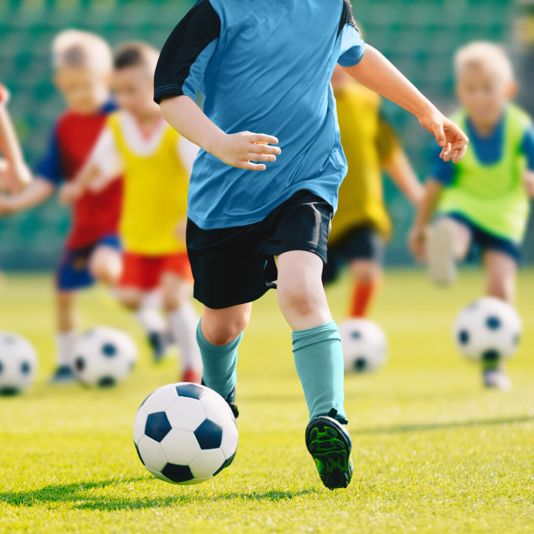 outdoor sports canopies protect canopies 2