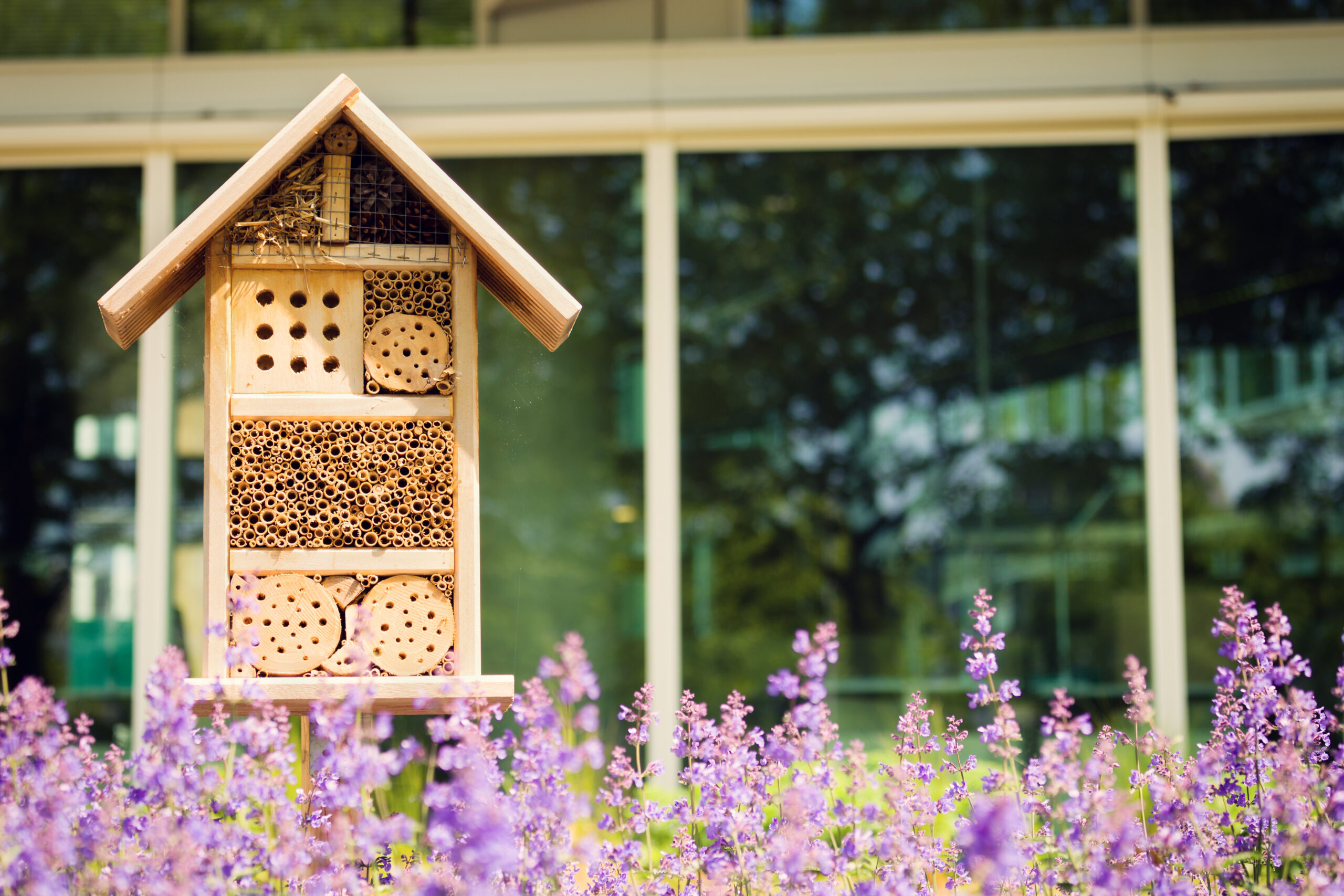 Enhancing School's Outdoor Spaces for Children to Connect With Nature 21 bug hotel outdoor learning protect canopies scaled