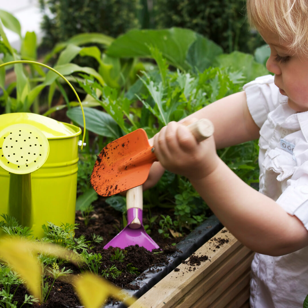 veg patch outdoor learning protect canopies