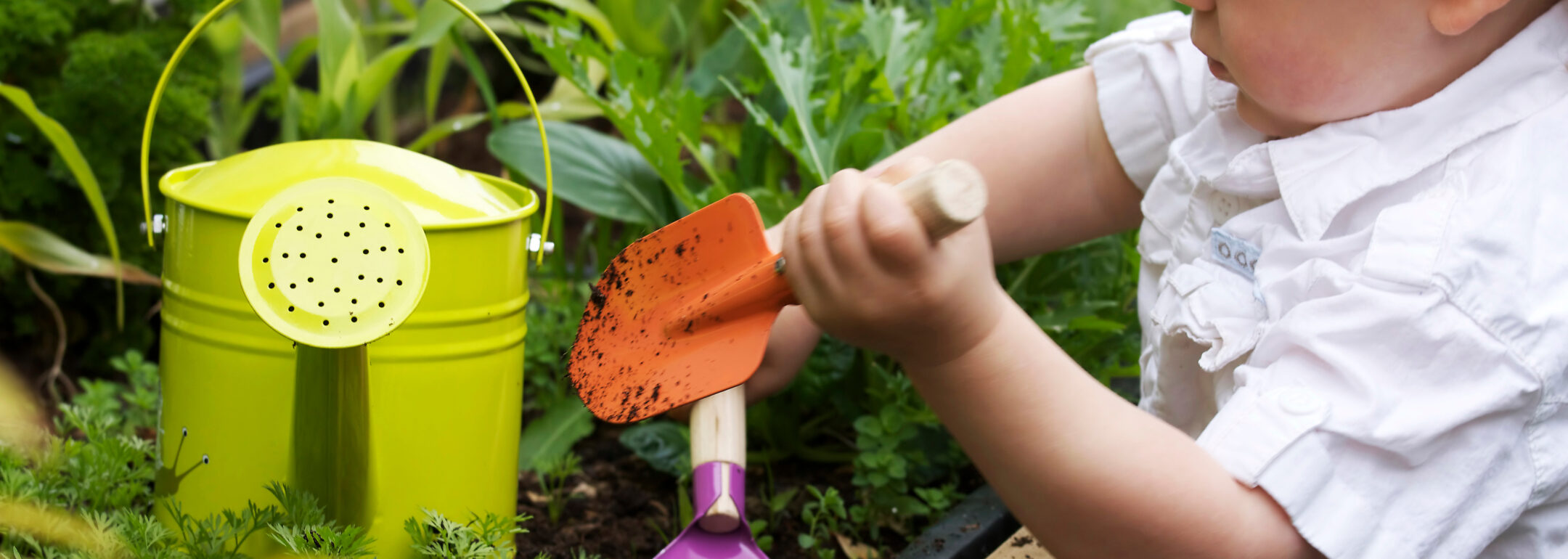 Enhancing School's Outdoor Spaces for Children to Connect With Nature 15 veg patch outdoor learning protect canopies