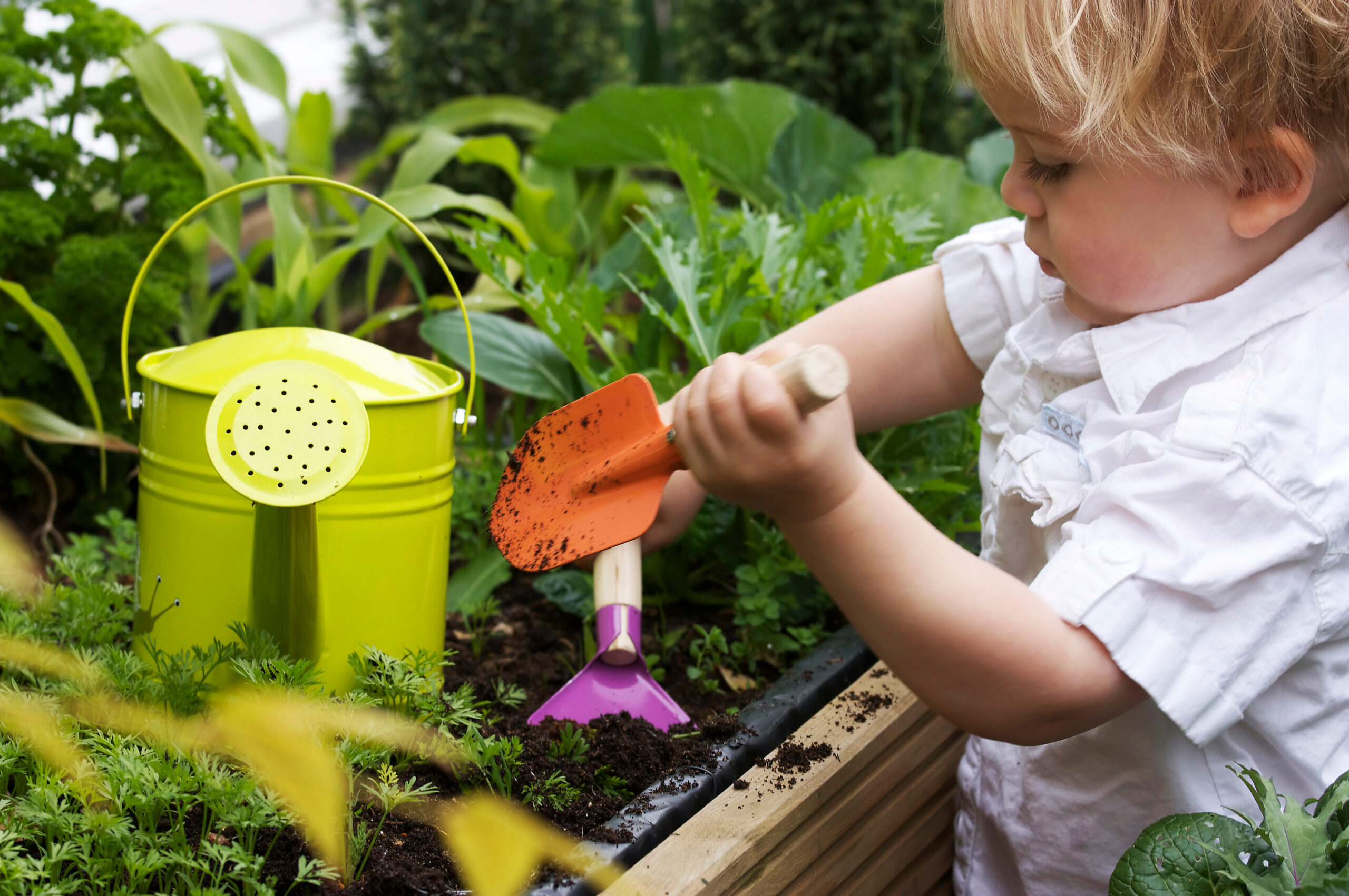 Enhancing School's Outdoor Spaces for Children to Connect With Nature 18 veg patch outdoor learning protect canopies scaled